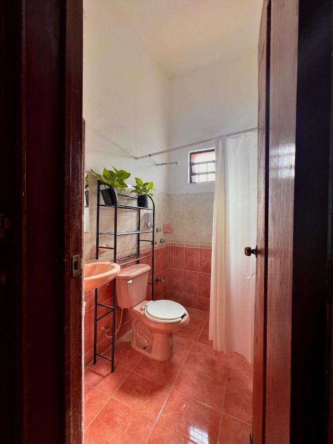 Alena Hostal Valladolid  Extérieur photo
